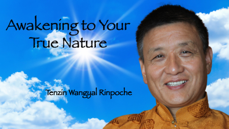 Awakening to Your True Nature Workshop